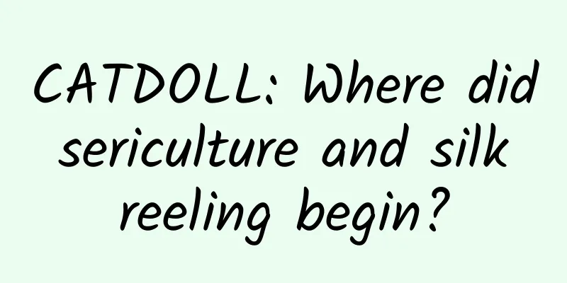 CATDOLL: Where did sericulture and silk reeling begin?