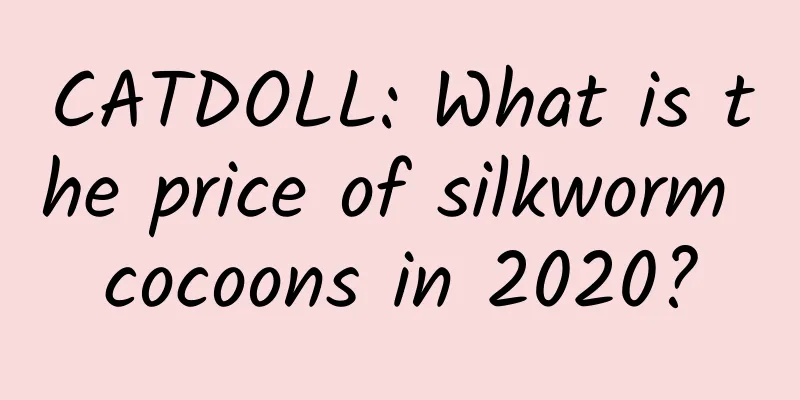 CATDOLL: What is the price of silkworm cocoons in 2020?