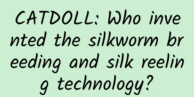 CATDOLL: Who invented the silkworm breeding and silk reeling technology?