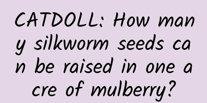 CATDOLL: How many silkworm seeds can be raised in one acre of mulberry?