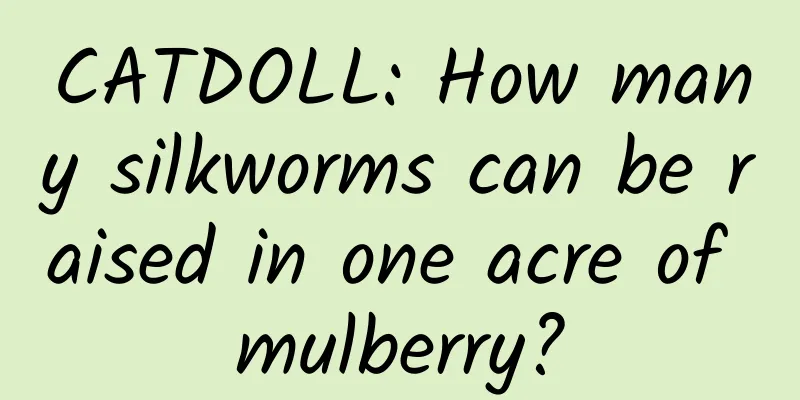 CATDOLL: How many silkworms can be raised in one acre of mulberry?