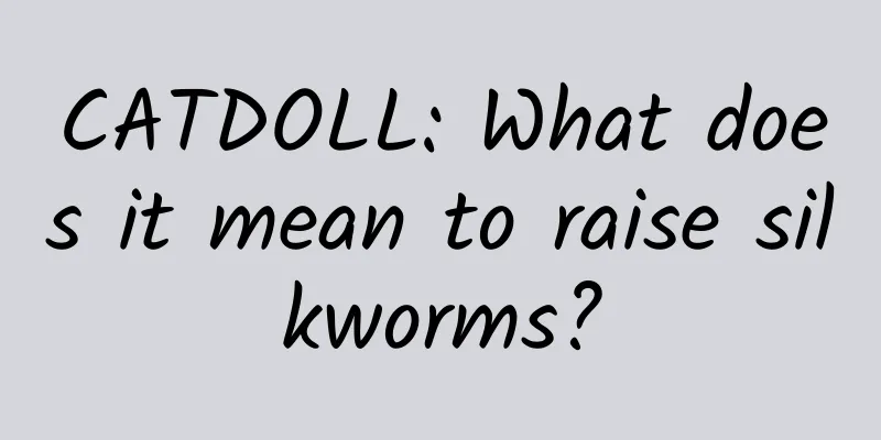 CATDOLL: What does it mean to raise silkworms?