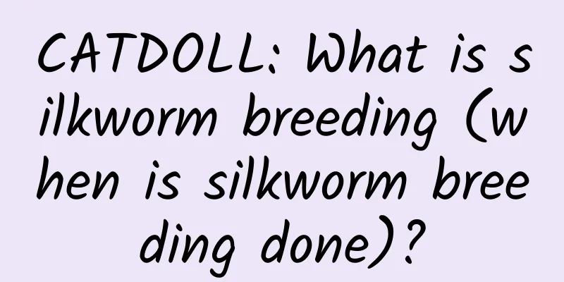 CATDOLL: What is silkworm breeding (when is silkworm breeding done)?