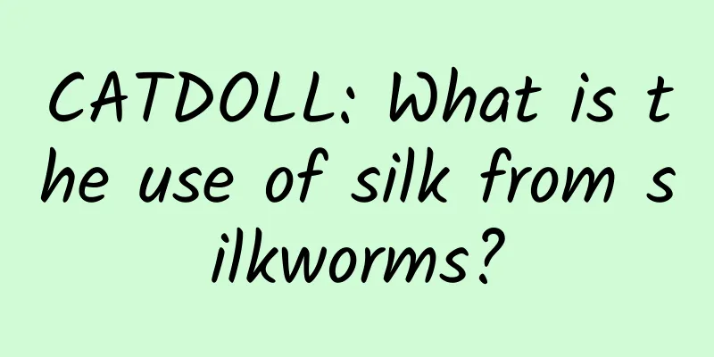 CATDOLL: What is the use of silk from silkworms?