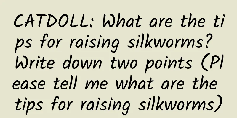 CATDOLL: What are the tips for raising silkworms? Write down two points (Please tell me what are the tips for raising silkworms)