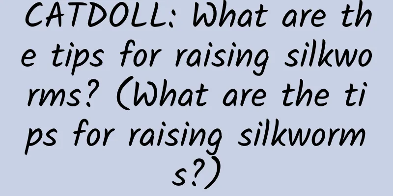 CATDOLL: What are the tips for raising silkworms? (What are the tips for raising silkworms?)