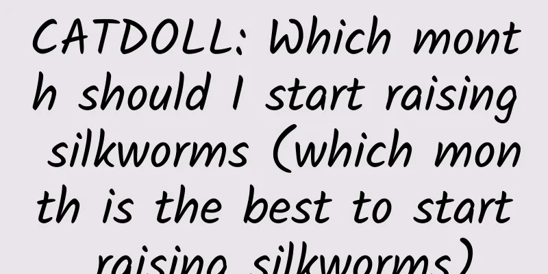 CATDOLL: Which month should I start raising silkworms (which month is the best to start raising silkworms)