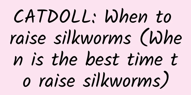 CATDOLL: When to raise silkworms (When is the best time to raise silkworms)