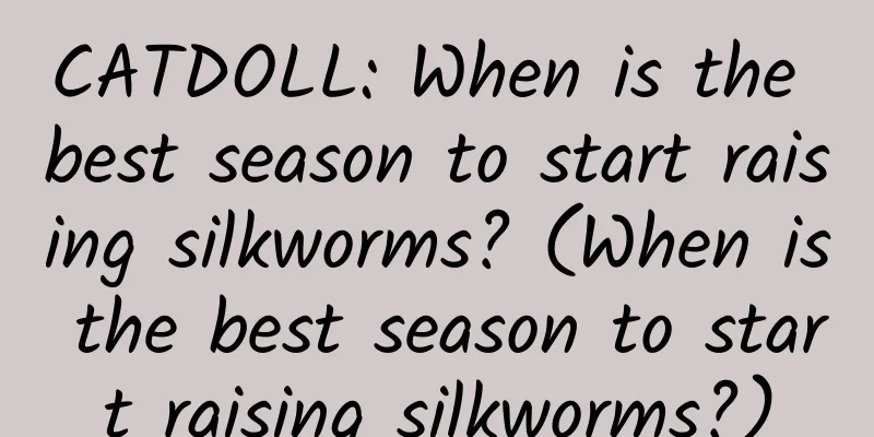 CATDOLL: When is the best season to start raising silkworms? (When is the best season to start raising silkworms?)