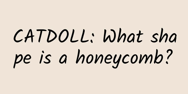 CATDOLL: What shape is a honeycomb?