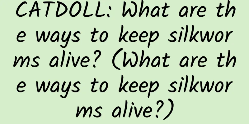 CATDOLL: What are the ways to keep silkworms alive? (What are the ways to keep silkworms alive?)