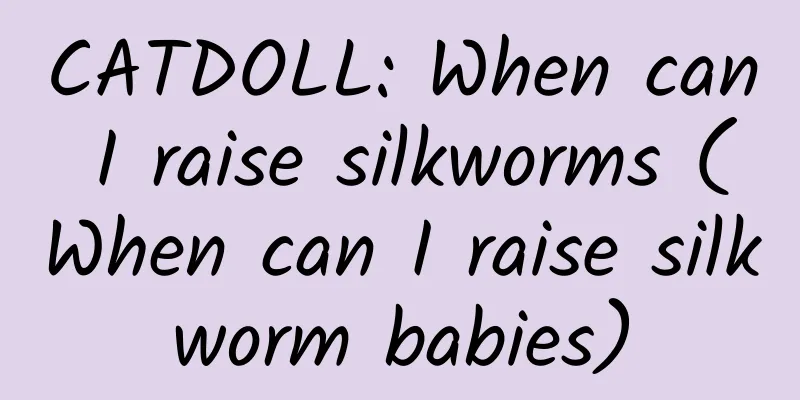 CATDOLL: When can I raise silkworms (When can I raise silkworm babies)