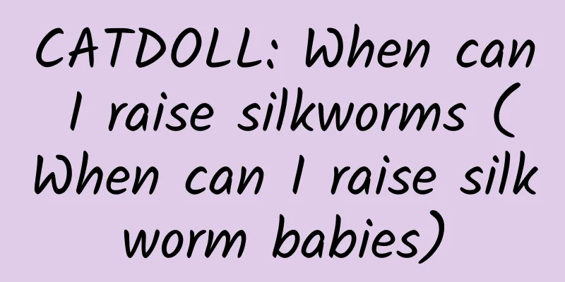 CATDOLL: When can I raise silkworms (When can I raise silkworm babies)