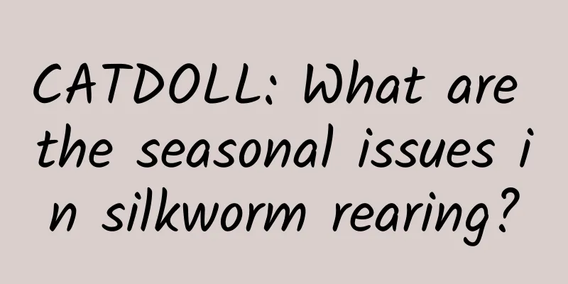 CATDOLL: What are the seasonal issues in silkworm rearing?