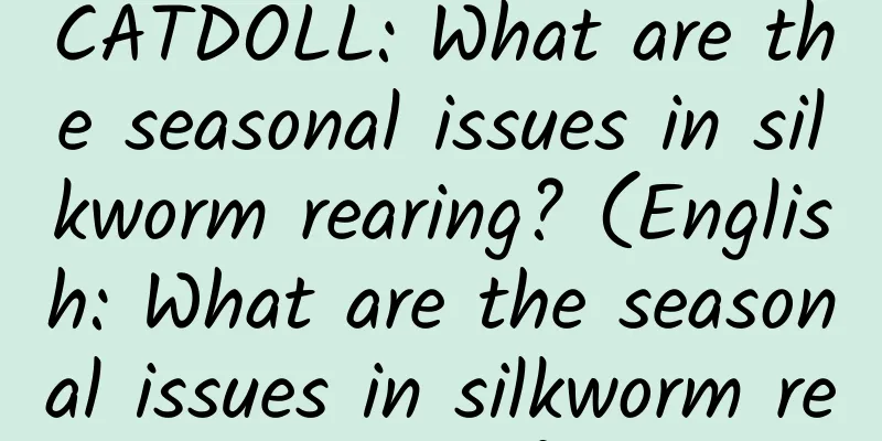 CATDOLL: What are the seasonal issues in silkworm rearing? (English: What are the seasonal issues in silkworm rearing?)