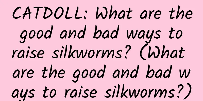 CATDOLL: What are the good and bad ways to raise silkworms? (What are the good and bad ways to raise silkworms?)