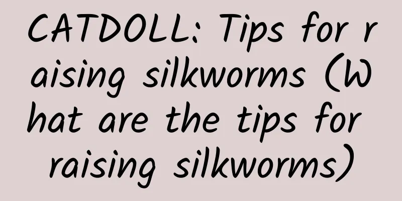 CATDOLL: Tips for raising silkworms (What are the tips for raising silkworms)