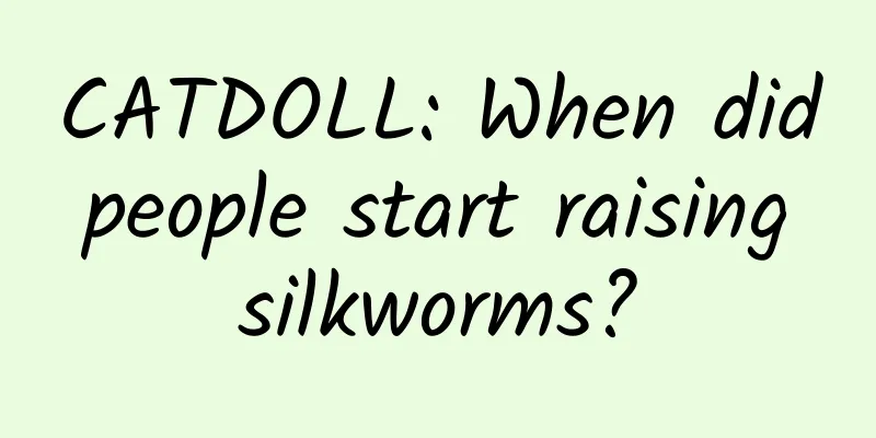 CATDOLL: When did people start raising silkworms?