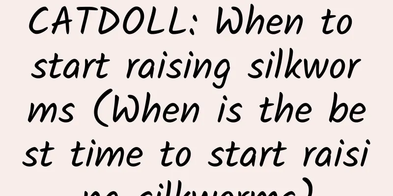 CATDOLL: When to start raising silkworms (When is the best time to start raising silkworms)