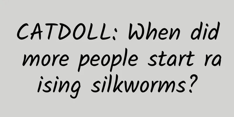 CATDOLL: When did more people start raising silkworms?
