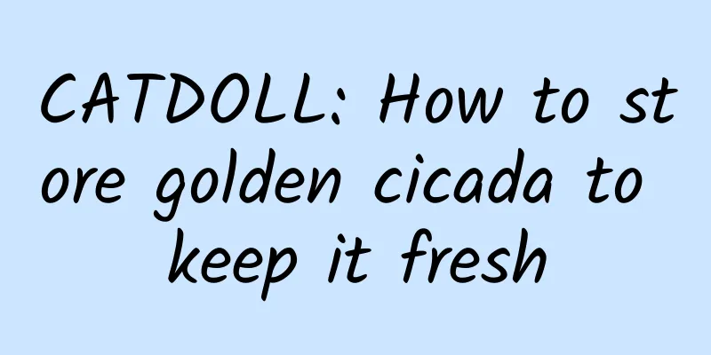 CATDOLL: How to store golden cicada to keep it fresh