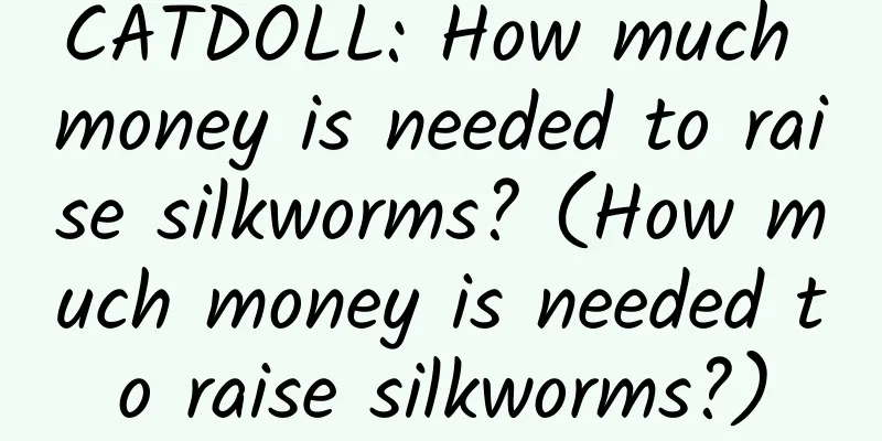 CATDOLL: How much money is needed to raise silkworms? (How much money is needed to raise silkworms?)