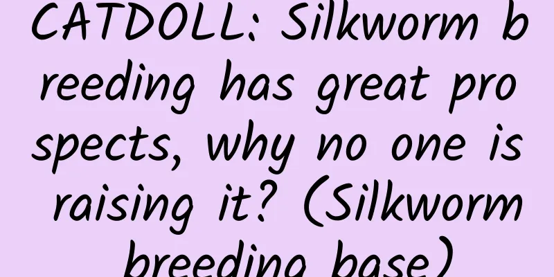 CATDOLL: Silkworm breeding has great prospects, why no one is raising it? (Silkworm breeding base)