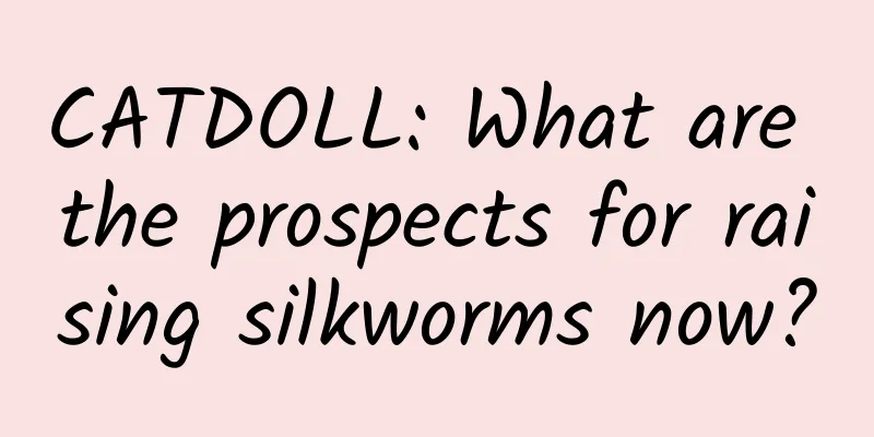 CATDOLL: What are the prospects for raising silkworms now?