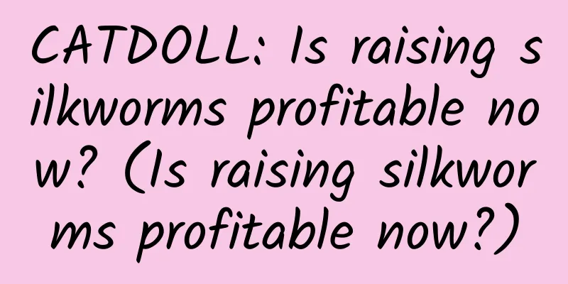CATDOLL: Is raising silkworms profitable now? (Is raising silkworms profitable now?)