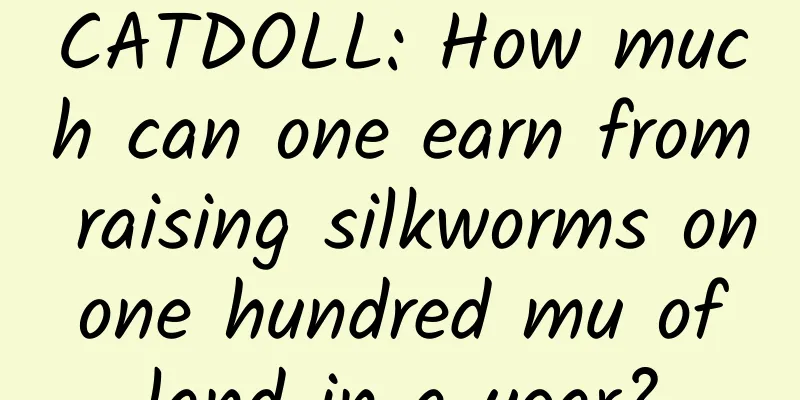 CATDOLL: How much can one earn from raising silkworms on one hundred mu of land in a year?