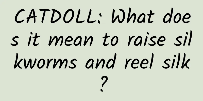 CATDOLL: What does it mean to raise silkworms and reel silk?