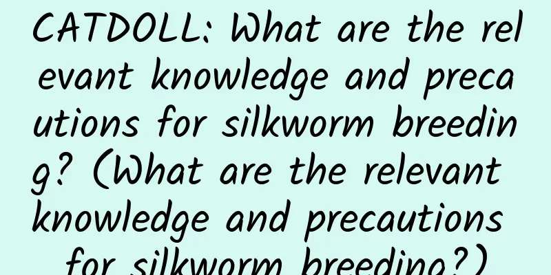 CATDOLL: What are the relevant knowledge and precautions for silkworm breeding? (What are the relevant knowledge and precautions for silkworm breeding?)