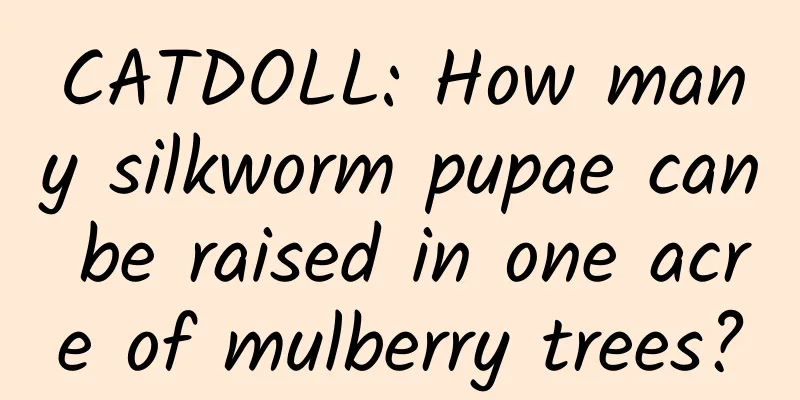 CATDOLL: How many silkworm pupae can be raised in one acre of mulberry trees?