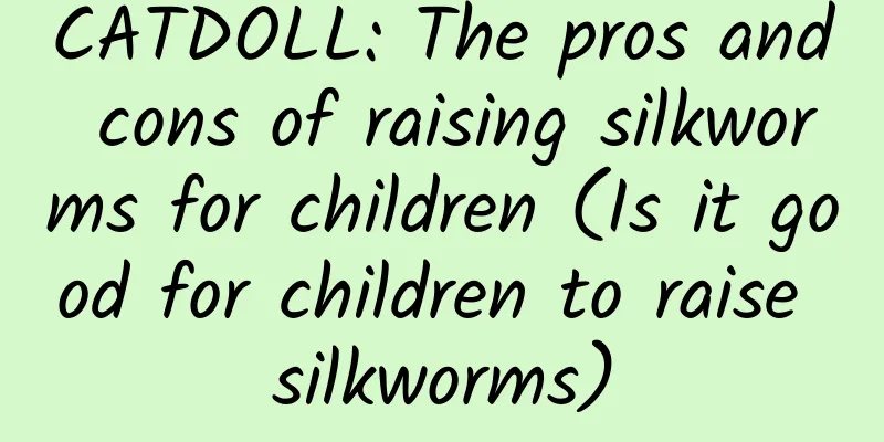 CATDOLL: The pros and cons of raising silkworms for children (Is it good for children to raise silkworms)