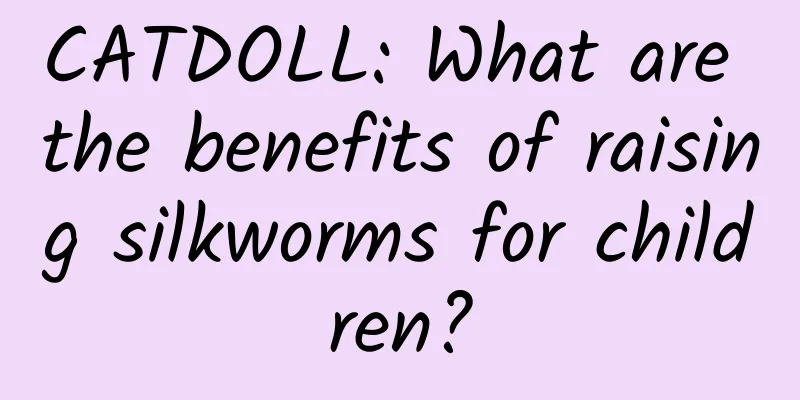 CATDOLL: What are the benefits of raising silkworms for children?