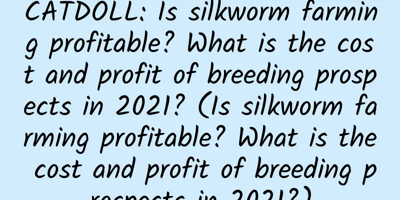 CATDOLL: Is silkworm farming profitable? What is the cost and profit of breeding prospects in 2021? (Is silkworm farming profitable? What is the cost and profit of breeding prospects in 2021?)