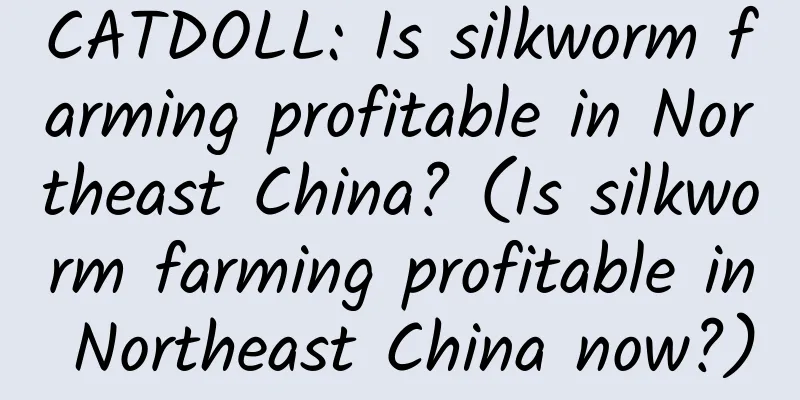 CATDOLL: Is silkworm farming profitable in Northeast China? (Is silkworm farming profitable in Northeast China now?)