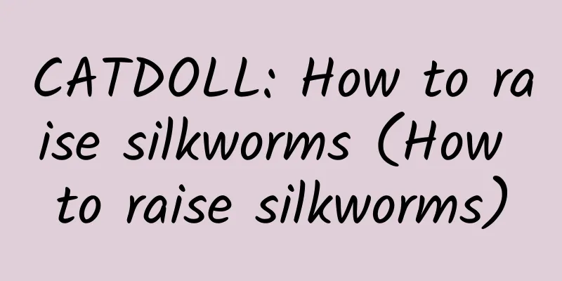 CATDOLL: How to raise silkworms (How to raise silkworms)