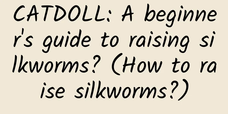 CATDOLL: A beginner's guide to raising silkworms? (How to raise silkworms?)