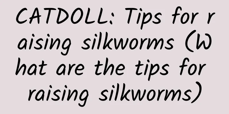 CATDOLL: Tips for raising silkworms (What are the tips for raising silkworms)