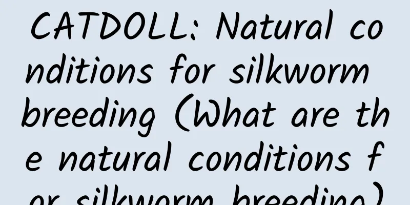 CATDOLL: Natural conditions for silkworm breeding (What are the natural conditions for silkworm breeding)
