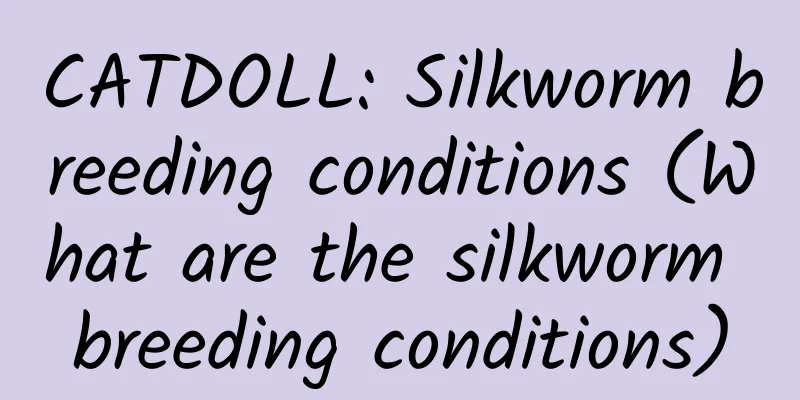 CATDOLL: Silkworm breeding conditions (What are the silkworm breeding conditions)