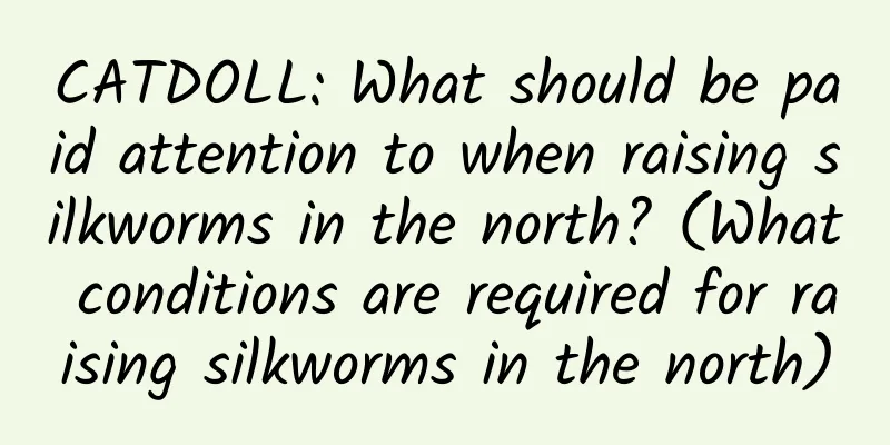 CATDOLL: What should be paid attention to when raising silkworms in the north? (What conditions are required for raising silkworms in the north)