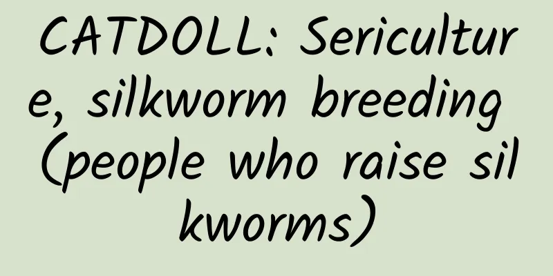 CATDOLL: Sericulture, silkworm breeding (people who raise silkworms)