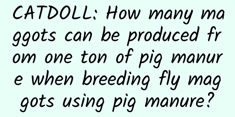 CATDOLL: How many maggots can be produced from one ton of pig manure when breeding fly maggots using pig manure?