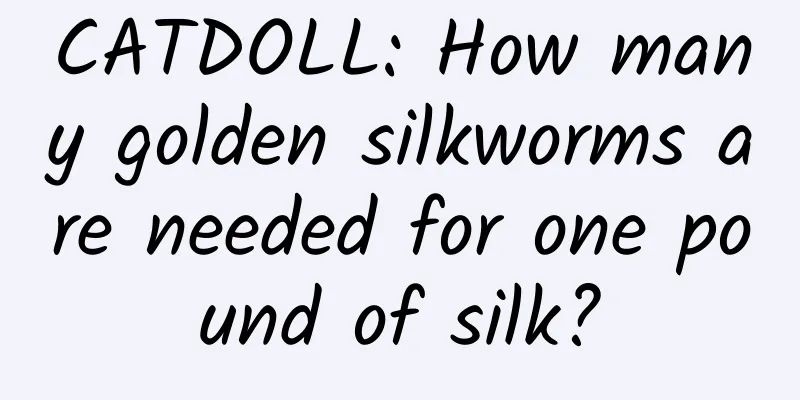 CATDOLL: How many golden silkworms are needed for one pound of silk?