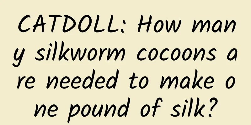 CATDOLL: How many silkworm cocoons are needed to make one pound of silk?