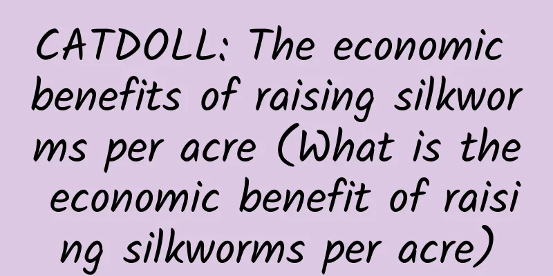 CATDOLL: The economic benefits of raising silkworms per acre (What is the economic benefit of raising silkworms per acre)