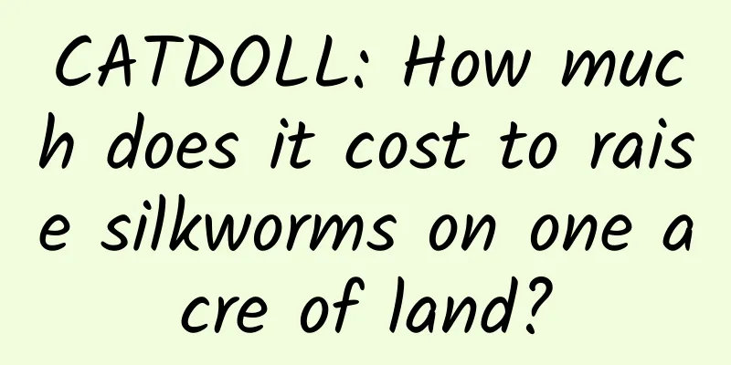 CATDOLL: How much does it cost to raise silkworms on one acre of land?