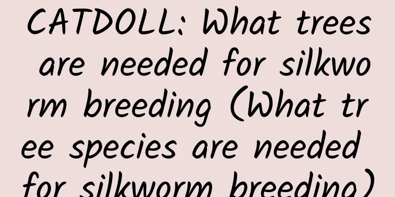 CATDOLL: What trees are needed for silkworm breeding (What tree species are needed for silkworm breeding)